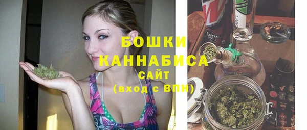 тгк Бородино