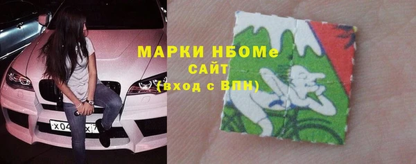 тгк Бородино