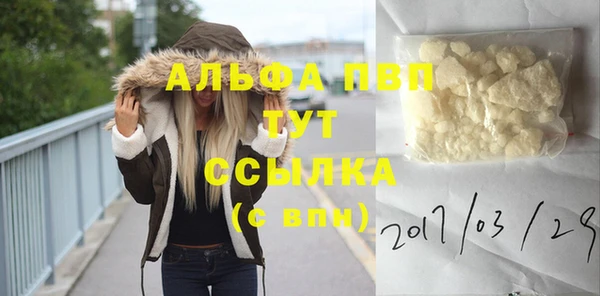 тгк Бородино
