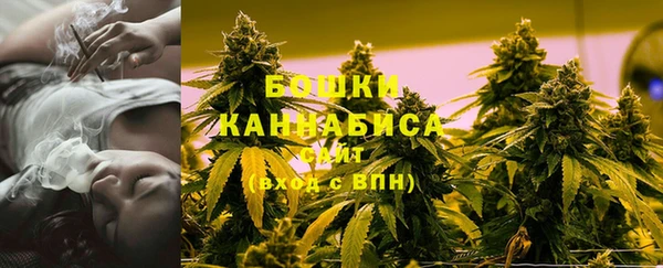 тгк Бородино