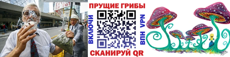 Галлюциногенные грибы Psilocybine cubensis Кущёвская
